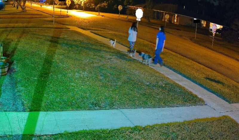 A quiet suburban street at night, captured by CCTV camera